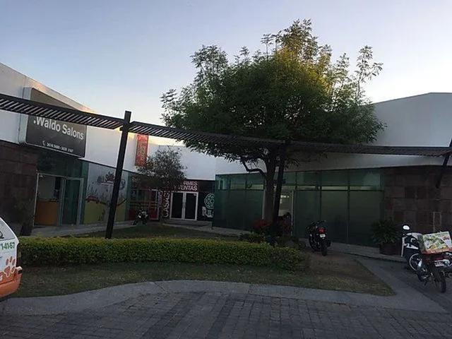 Foto de la galeria de imagenes
