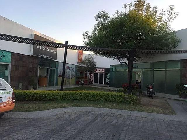 Foto de la galeria de imagenes